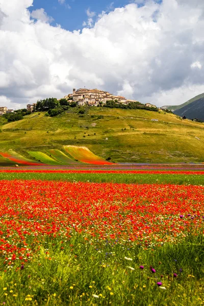 Castelluccio Norcia Italien — Stockfoto