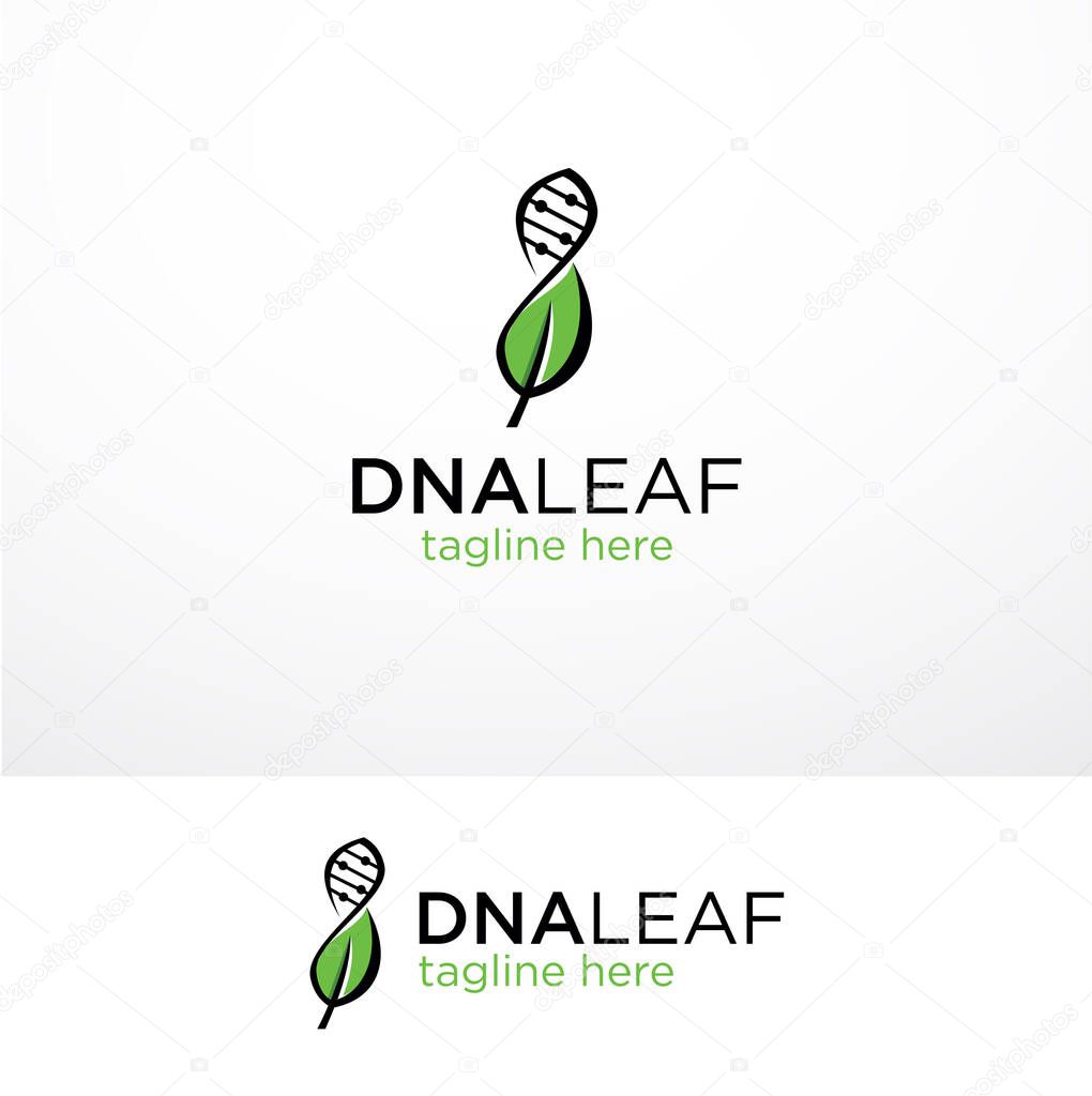 Dna Leaf Logo Template Design Stock Vector . Natural Leaf Dna Genetic Logo Design Template