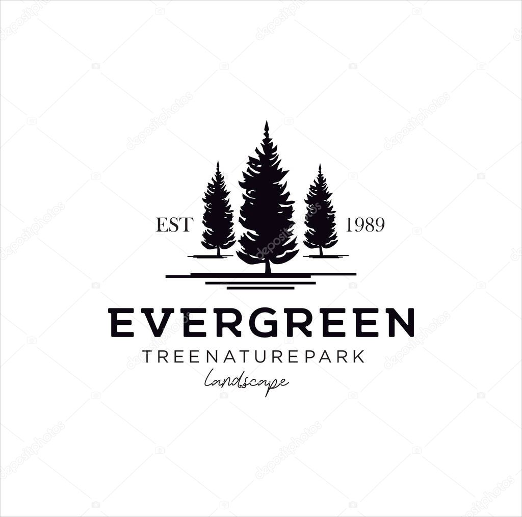 Pine evergreen fir Tree Logo Design Template . hemlock spruce Tree Logo Vintage . conifer cedar coniferous Logo Hipster Retro. larch pinus cypress Logo Icon .
