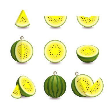 Sarı sulu karpuzların ve dilimlerin vektör çizimi