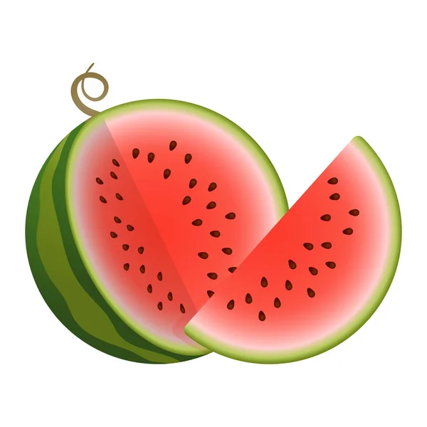 Vector two parts watermelon. Cute Vector illustration gradient fill isolated on white background, logo and icon. Concept of healthy lifestyle and ripe fruits — 图库矢量图片