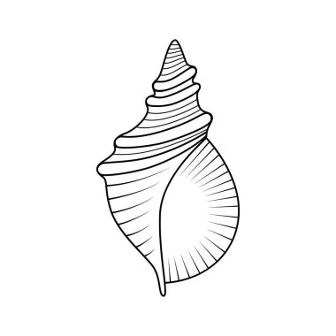 Vektör el çizilmiş deniz kabuğu. Beyaz arkaplanda deniz kabuğu simgesi izole edildi.