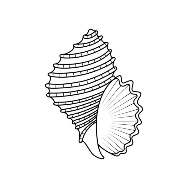 Vektor Handgezeichnete Muschel Muschel Symbol Isoliert Auf Weißem Hintergrund — Stockvektor