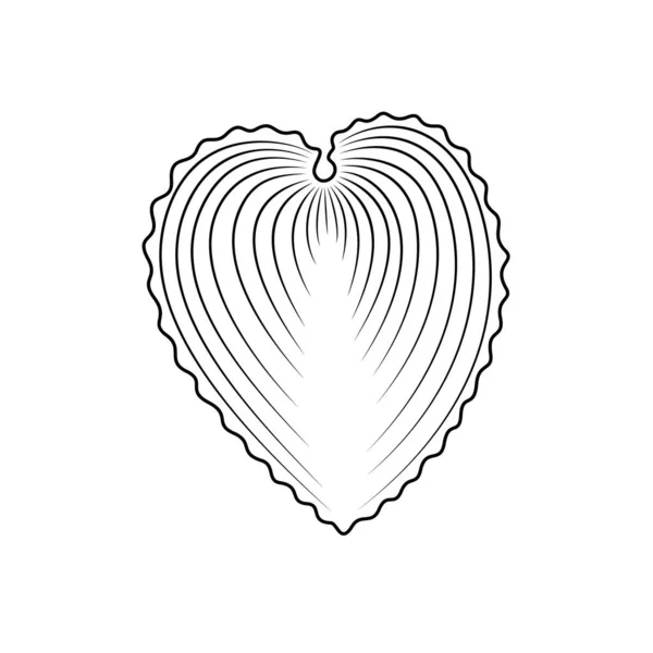Vektor Handgezeichnete Muschel Muschel Symbol Isoliert Auf Weißem Hintergrund — Stockvektor