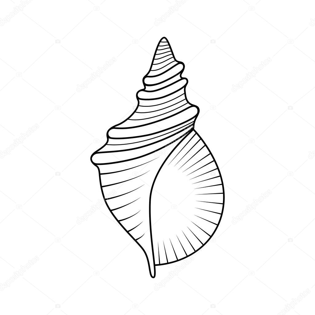 Vector hand drawn seashell. Seashell icon isolated on white background.
