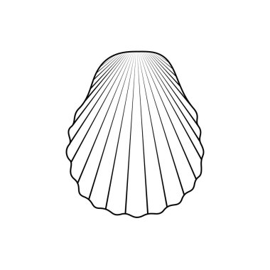Vektör el çizilmiş deniz kabuğu. Beyaz arkaplanda deniz kabuğu simgesi izole edildi.
