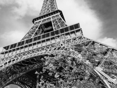 Paris, Fransa 'nın en popüler simgesi Eyfel Kulesi' ne bakıyorum. Tek renkli fotoğraf.