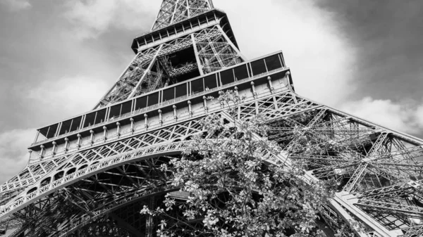 Guardando in alto sulla Torre Eiffel, il punto di riferimento più popolare di Parigi, Francia. Monocromatico foto — Foto Stock