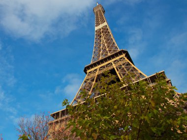 Paris, Fransa 'da sonbahar yapraklı Eyfel Kulesi