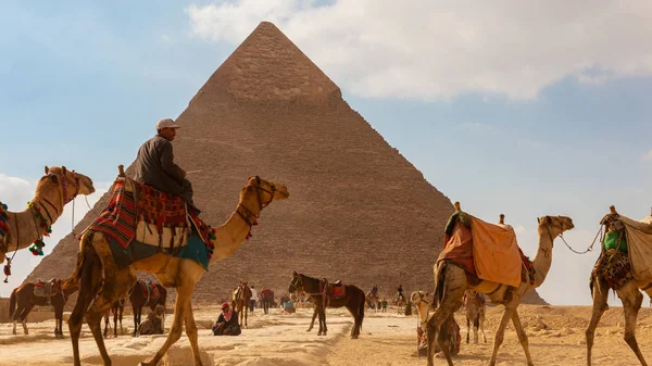 Gizeh Égypte Janvier 2020 Touristique Avec Chameaux Personnes Devant Une — Photo