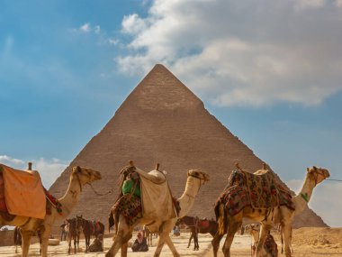 Giza, Mısır - 29 Ocak 2020 - Deve ve insanlarla dolu bir piramidin önünde dramatik gün batımına kadar turizm koşuşturması