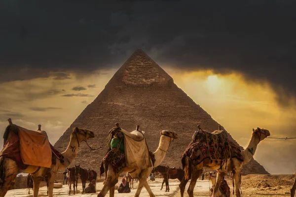 Gizeh Égypte Janvier 2020 Touristique Animée Avec Des Chameaux Des — Photo