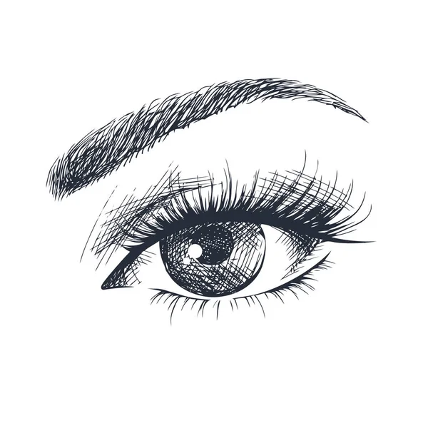 Beautiful female eye — Stock Vector