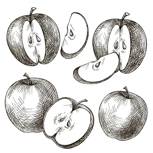 Conjunto de manzanas dibujadas a mano — Archivo Imágenes Vectoriales