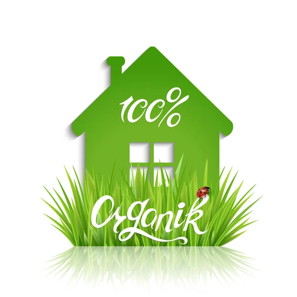 Casa ecológica verde —  Vetores de Stock