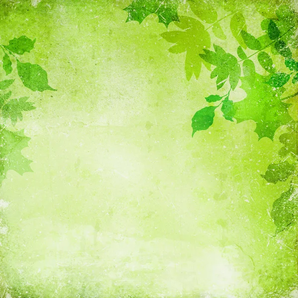 Гранж фон с листьями — стоковое фото
