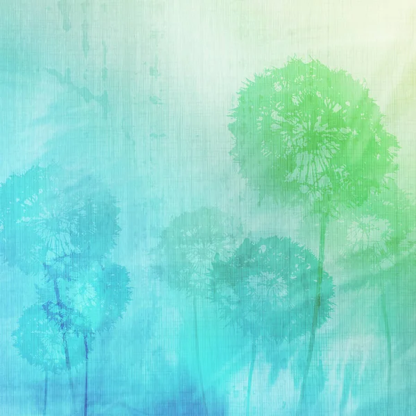 Grunge background with dandelions — Stock Photo, Image