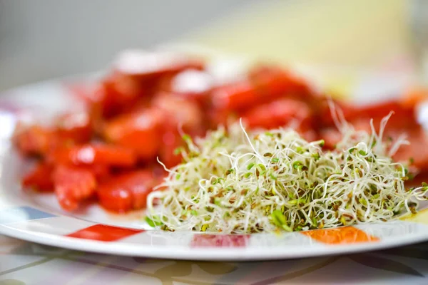 Semillas Brotaron Frasco Vidrio Plato Con Tomates Rojos Fotos de stock libres de derechos