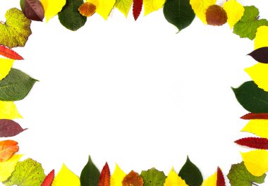 Sarı ve kırmızı yapraklar çerçeve şeklinde dökülür.