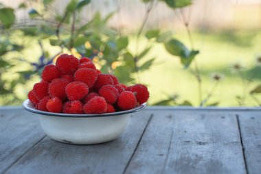 Doğal iksirlerin arka planında bir teneke kasede Tibet ahududu topluyorum.
