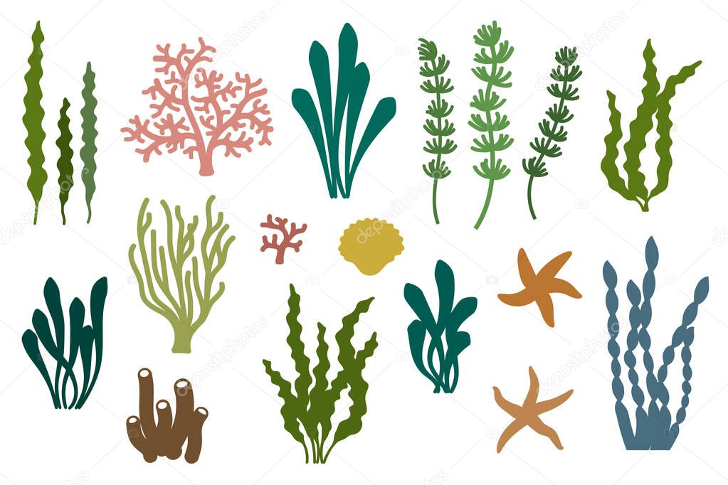 Featured image of post Silhouette Sea Plants Vector - Sea plants and aquarium seaweed vector set — stock vector.