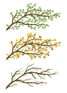 Yeşil yapraklı ağaç dalı. Bahar, sonbahar, çıplak dallar. Şeffaf arkaplanda izole edilmiş vektör grafik çizimi. Sanat tasarımı ögesi.