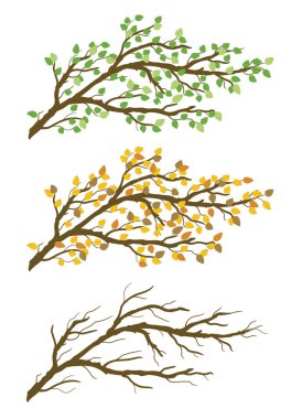 Tree branch with green, yellow leaves. Spring, autumn, bare twigs. Vector graphic illustration isolated on transparent background. Artwork design element. clipart