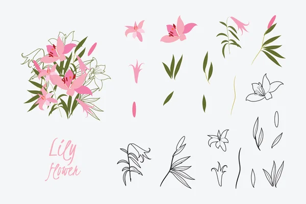 Ilustración saludo fondo floral de lirio dibujado a mano — Archivo Imágenes Vectoriales