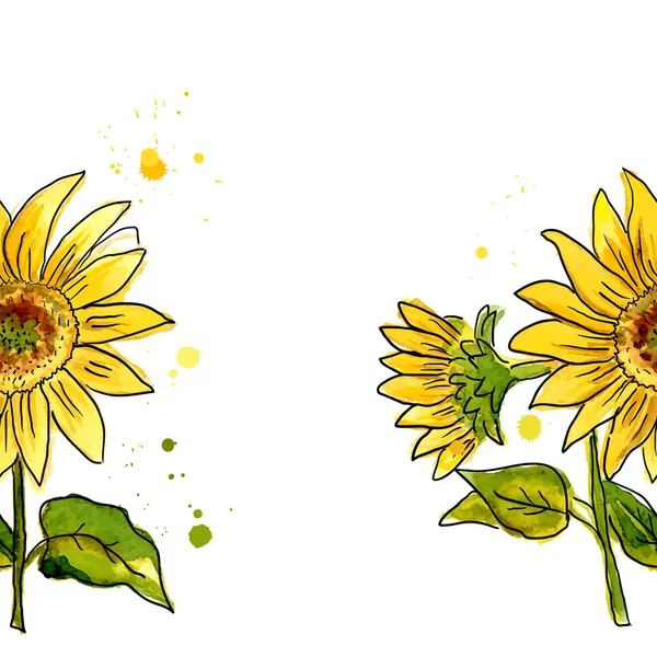 Skład żółty słonecznik malowane w akwareli — Wektor stockowy