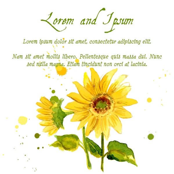 Sarı ayçiçeği kompozisyon içinde suluboya boyalı