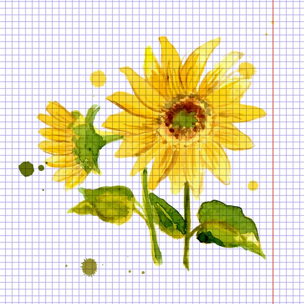 La composition du tournesol jaune peint à l'aquarelle — Image vectorielle