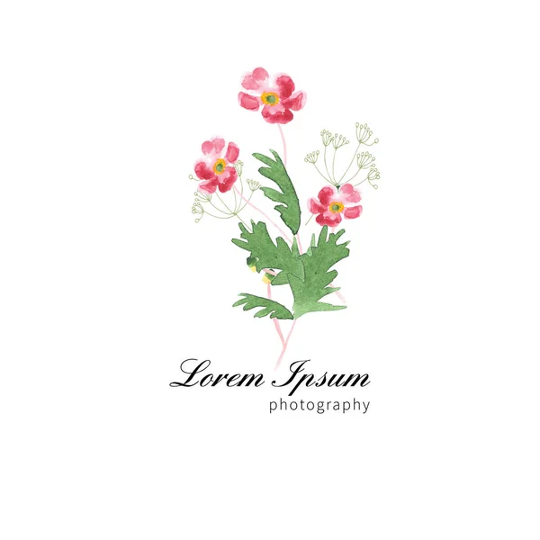 El boyalı kır çiçeği çiçek desenli — Stok fotoğraf