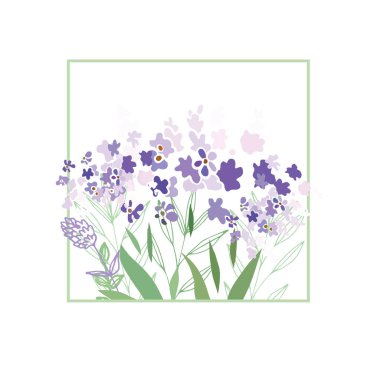 yaz çiçek kompozisyon