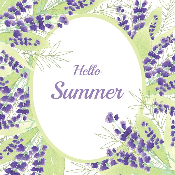 Composición flor verano — Foto de Stock