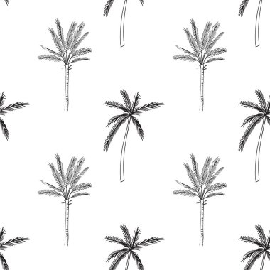 Beyaz arka plan üzerinde izole palmiye ağaçları ile seamless modeli çizilmiş