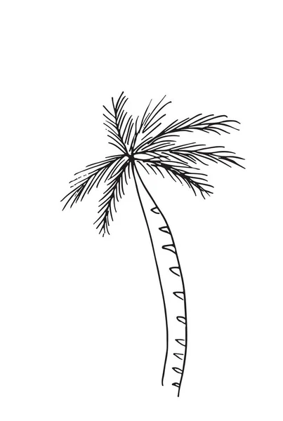 ヤシの木、白い背景で隔離のシームレス パターンの手描き — ストックベクタ