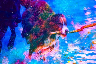 Köpeğin Nehirde Sopayla Koşturma Sanatı