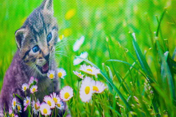Artistic Art of cute Cat in wonderful pattern. Cute Cat looking flowers and very happy.