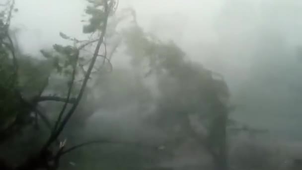 Bangladéš Indie Května 2020 Cyclone Amphan Zasáhl Indické Pobřeží Protože — Stock video