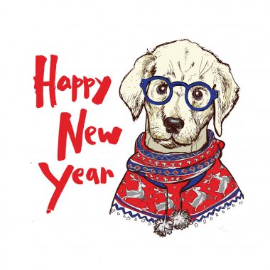 Noel tebrik kartı ile örme kazak, vektör çizim giymiş mutlu kış pug köpek