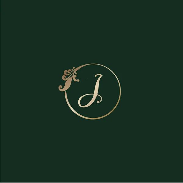Carta Alfabeto Decorativo Logo Isolado Fundo Verde Anel Ouro Luxo — Vetor de Stock