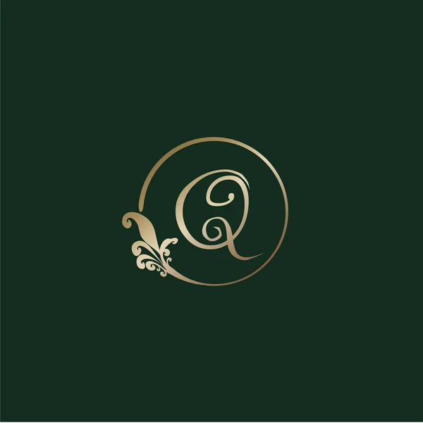 Letra Alfabeto Decorativo Logo Isolado Fundo Verde Anel Ouro Luxo —  Vetores de Stock