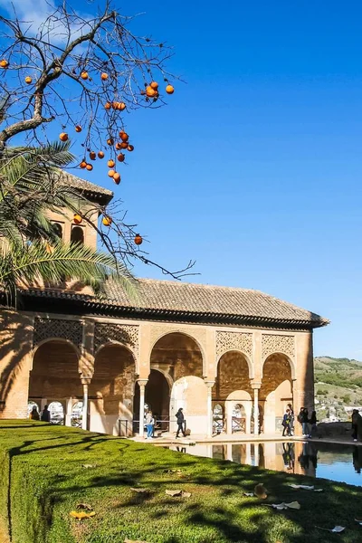 Pałac w Alhambrze i drzewa persymony w zimie. Granada Hiszpania — Zdjęcie stockowe