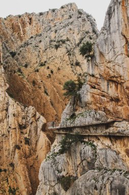 Caminito del Rey dar bir vadide yürüyüş yapıyor. Malaga İspanya