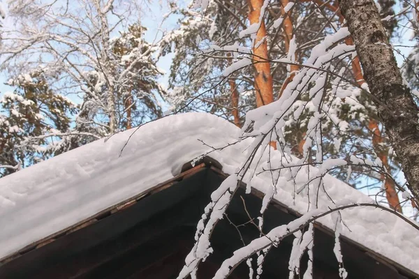 Kış ormanlarının çatısında karla kaplı ev — Stok fotoğraf