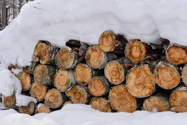 Berge von verschneitem Brennholz an einem kalten Wintertag — Stockfoto