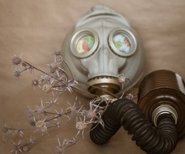 Küredeki gaz maskesi ve kuru bir diken. Küresel çevre sorunları