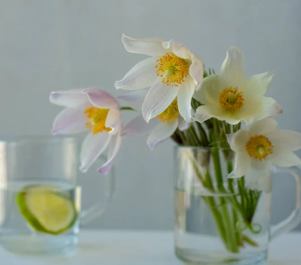 Нежные белые весенние цветы в стеклянной чаше — стоковое фото
