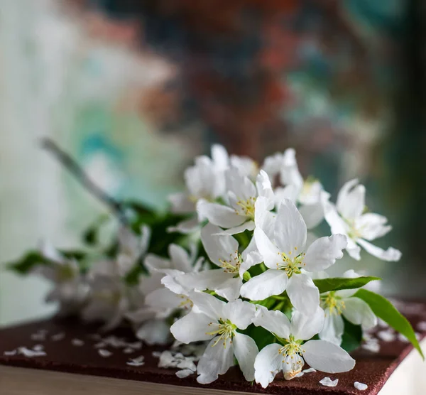 Kwitnąca Jabłoń Wiosnę Białe Kwiaty — Zdjęcie stockowe