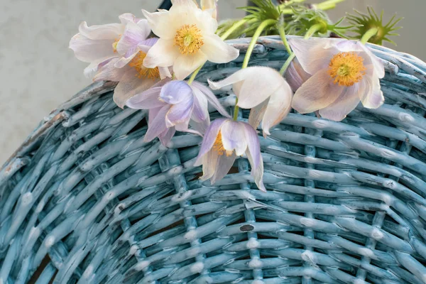 White Flowers Blue Wicker Background — Stock Photo, Image